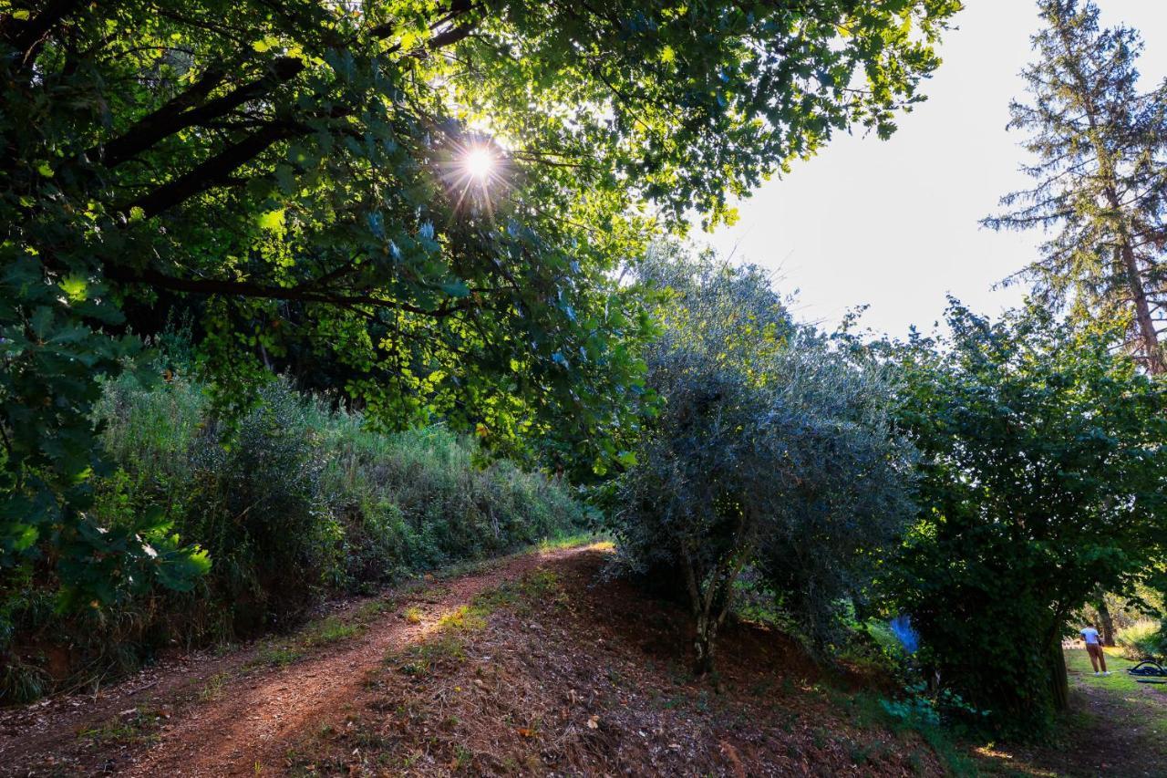 Agriturismo Terra Volonteri Монтекатини-Терме Экстерьер фото
