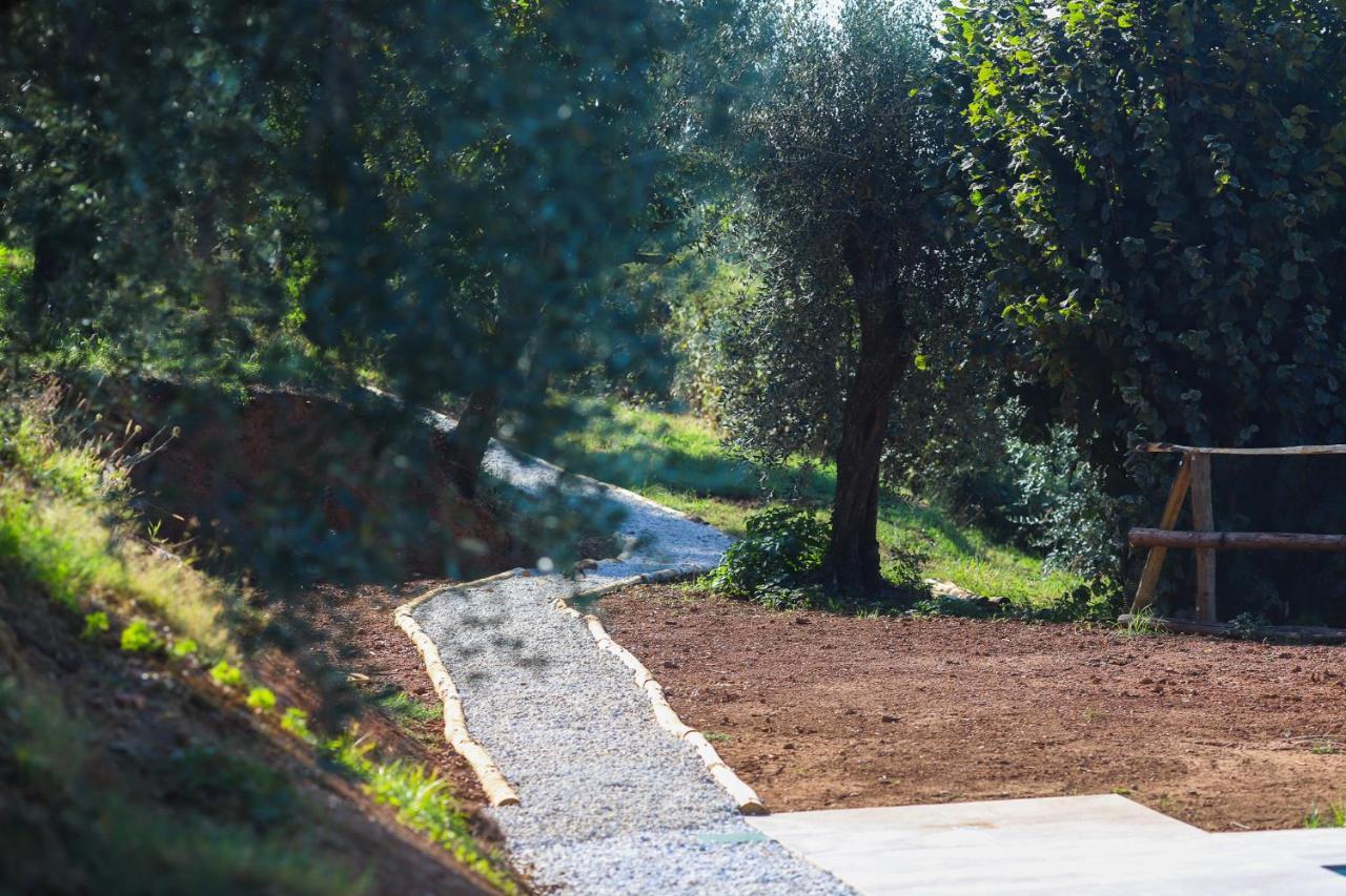 Agriturismo Terra Volonteri Монтекатини-Терме Экстерьер фото