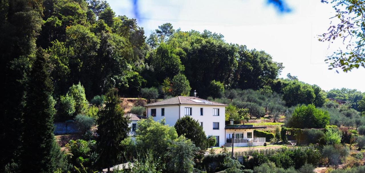 Agriturismo Terra Volonteri Монтекатини-Терме Экстерьер фото