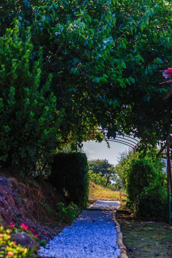 Agriturismo Terra Volonteri Монтекатини-Терме Экстерьер фото