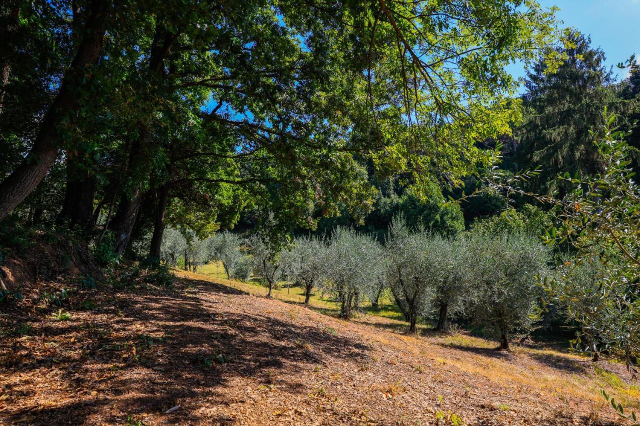 Agriturismo Terra Volonteri Монтекатини-Терме Экстерьер фото