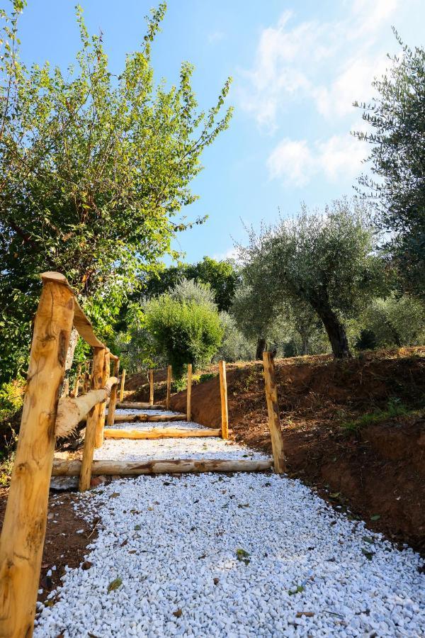 Agriturismo Terra Volonteri Монтекатини-Терме Экстерьер фото