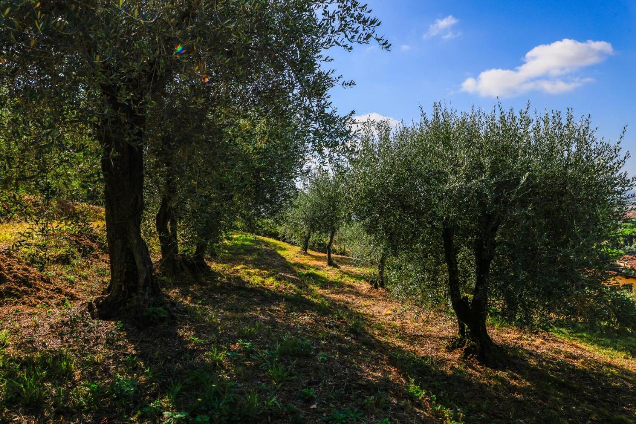 Agriturismo Terra Volonteri Монтекатини-Терме Экстерьер фото