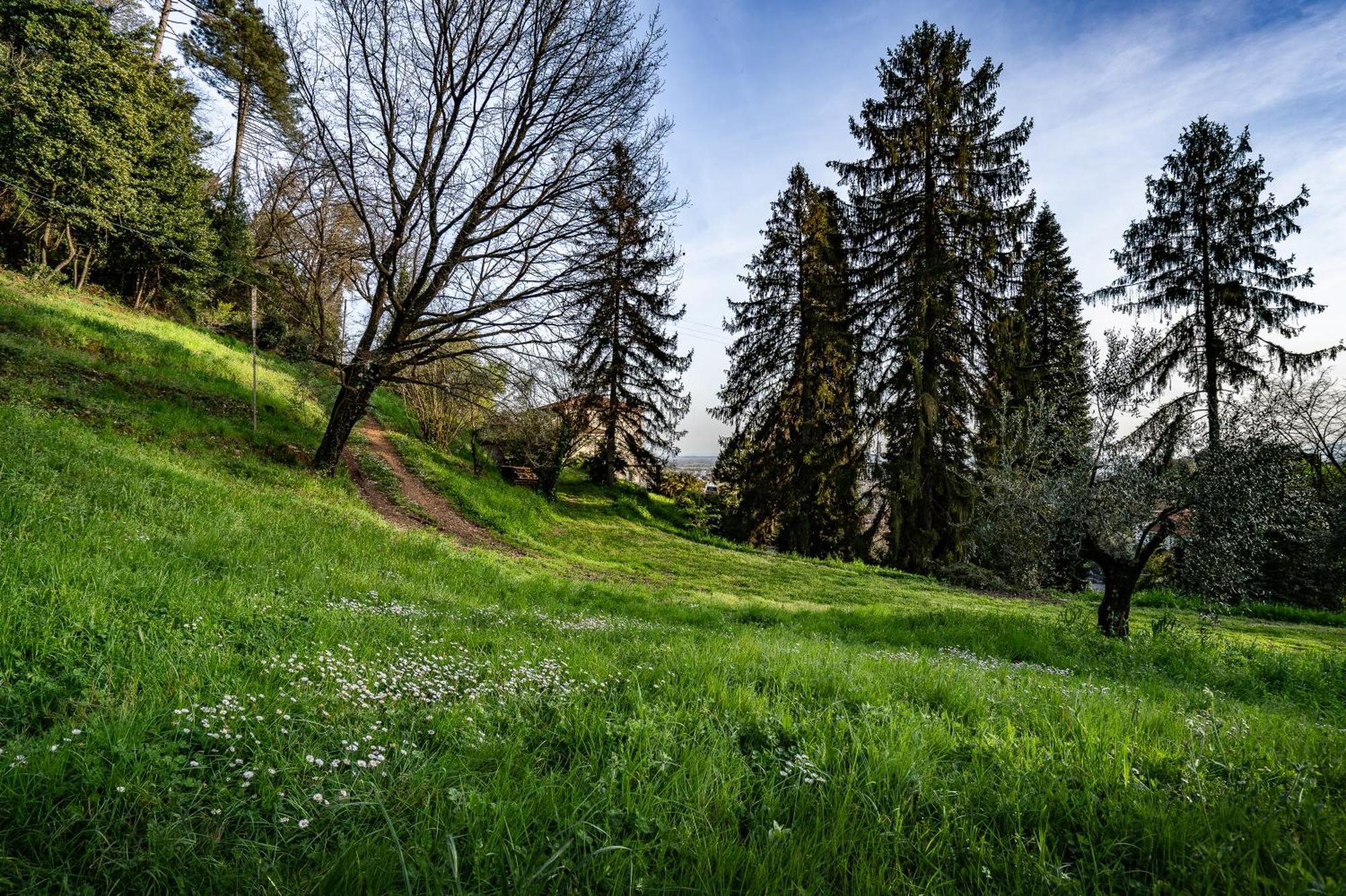 Agriturismo Terra Volonteri Монтекатини-Терме Экстерьер фото
